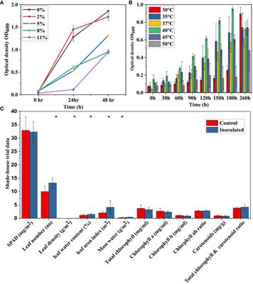 Mangrove sediments-associated bacterium (Bacillus sp. SW7) with multiple plant growth-promoting traits promotes the growth of tomato (Solanum Lycopersicum)